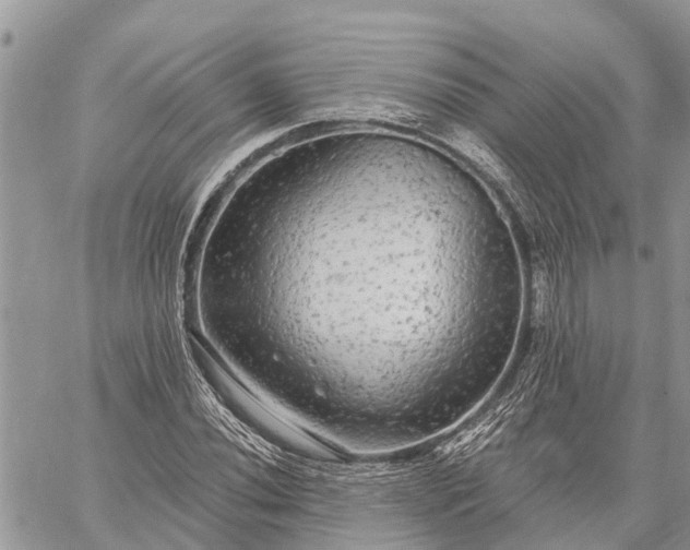 X0000059101020200510211627