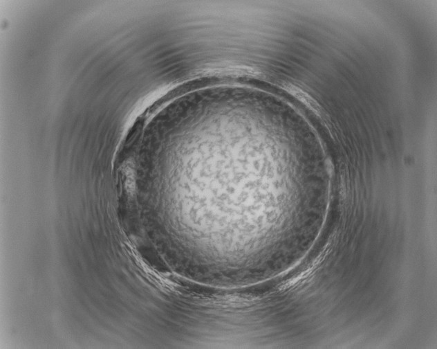 X0000059101022200510211627