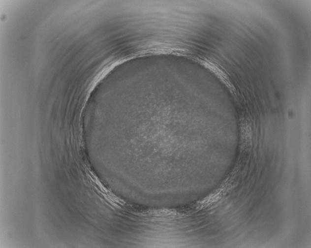 X0000059101023200510211627