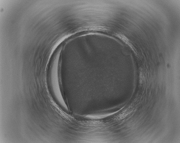 X0000059101024200510211627