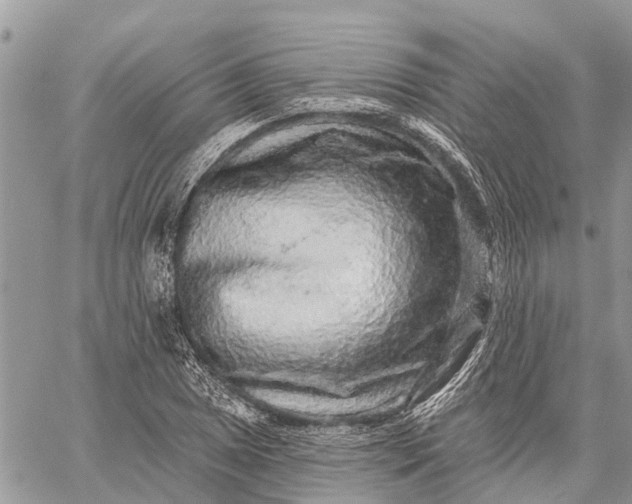 X0000059101025200510211627