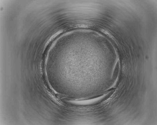 X0000059101026200510211627