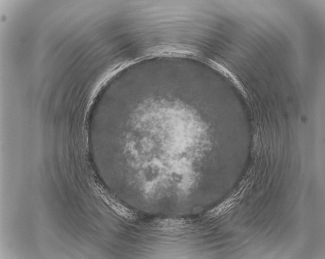 X0000059101027200510211627