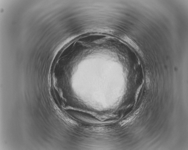 X0000059101028200510211627