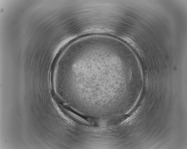 X0000059101030200510211627