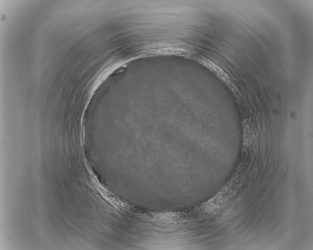 X0000059101031200510211627