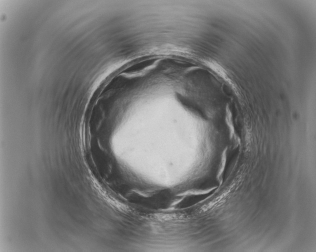 X0000059101032200510211627