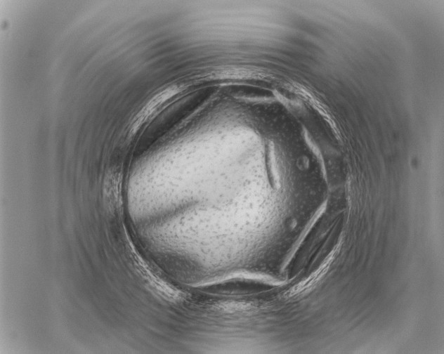 X0000059101033200510211627