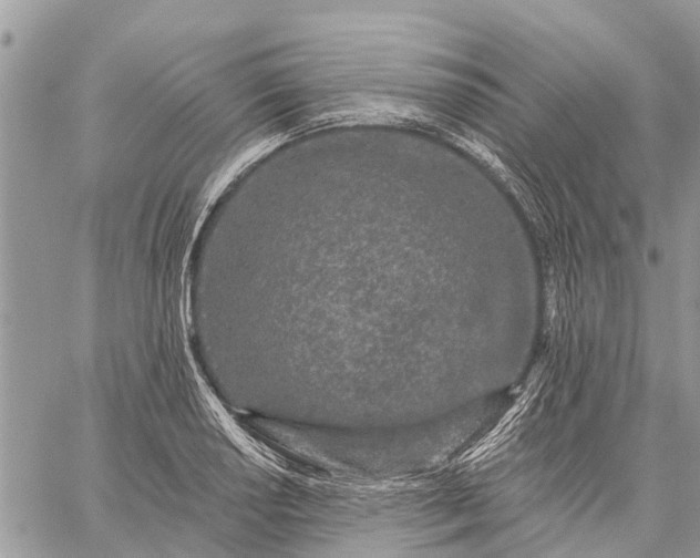 X0000059101034200510211627