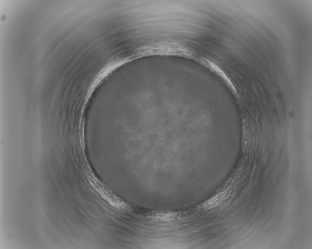 X0000059101035200510211627