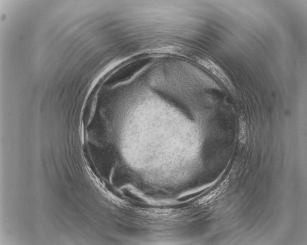 X0000059101036200510211627