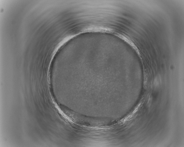 X0000059101037200510211627