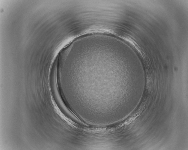 X0000059101038200510211627