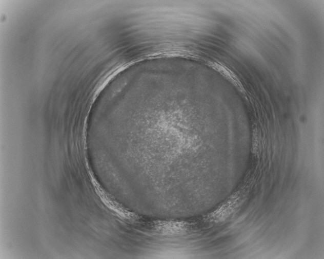 X0000059101039200510211627