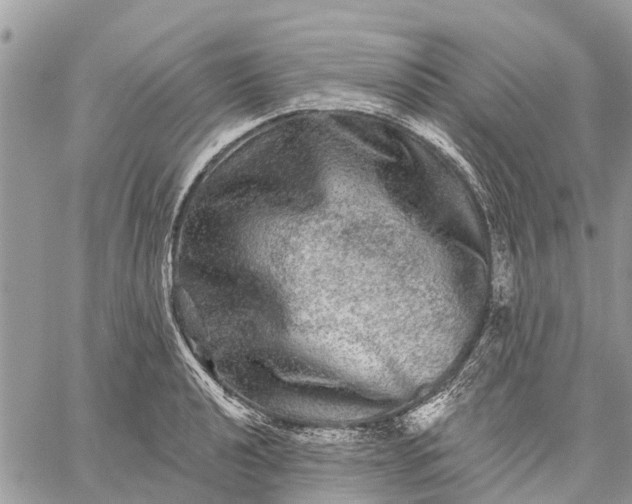 X0000059101040200510211627