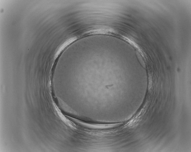 X0000059101042200510211627