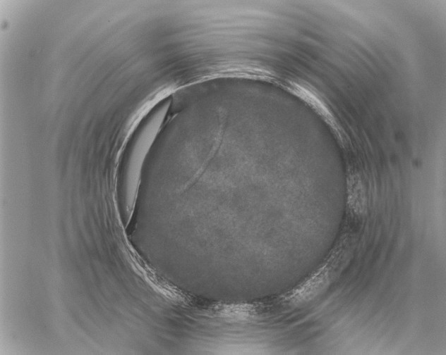 X0000059101043200510211627