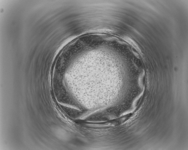 X0000059101044200510211627