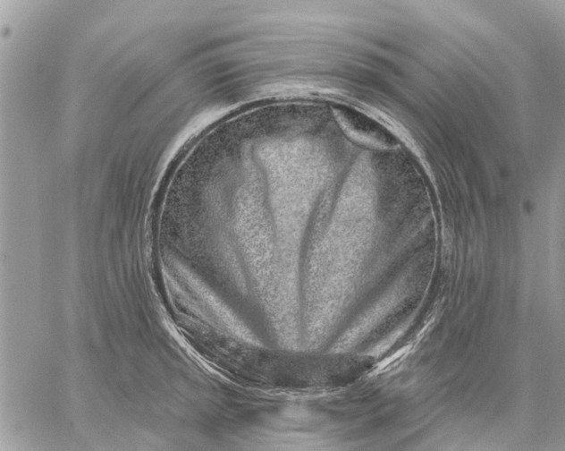 X0000059101045200510211627