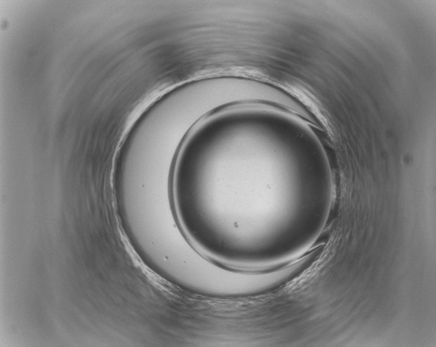 X0000059101046200510211627