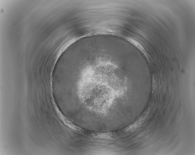 X0000059101047200510211627