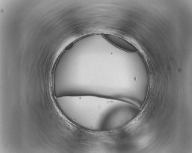 X0000059101048200510211627