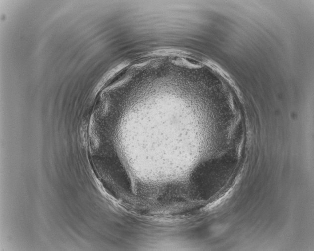 X0000059101049200510211627