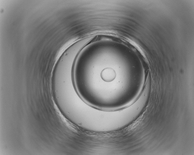 X0000059101050200510211627