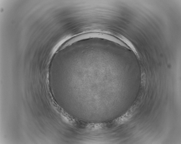 X0000059101051200510211627