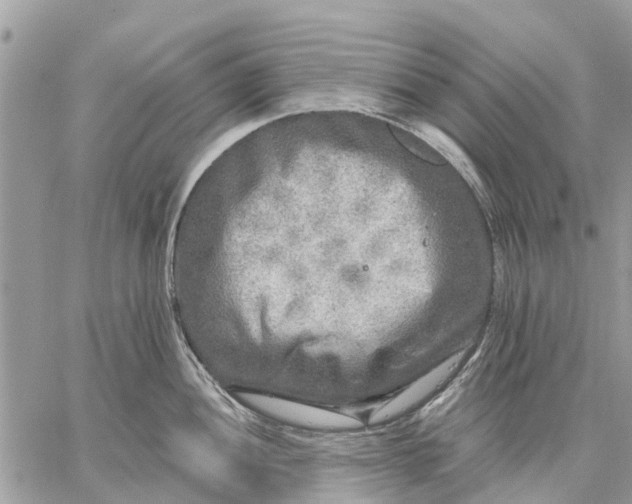 X0000059101052200510211627