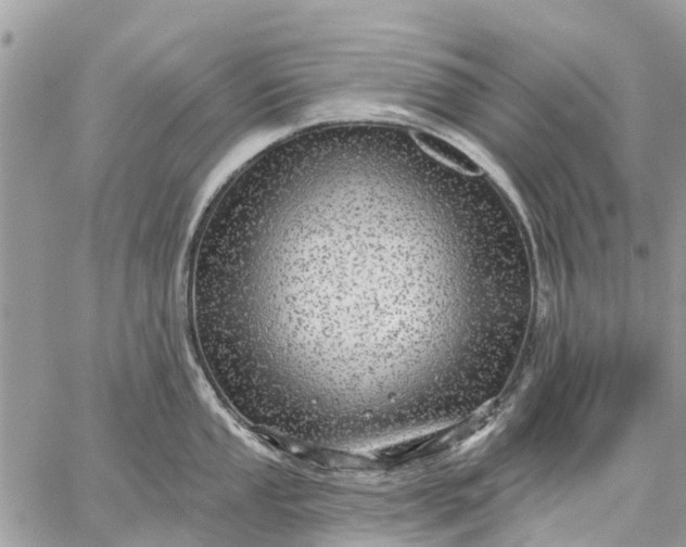 X0000059101053200510211627