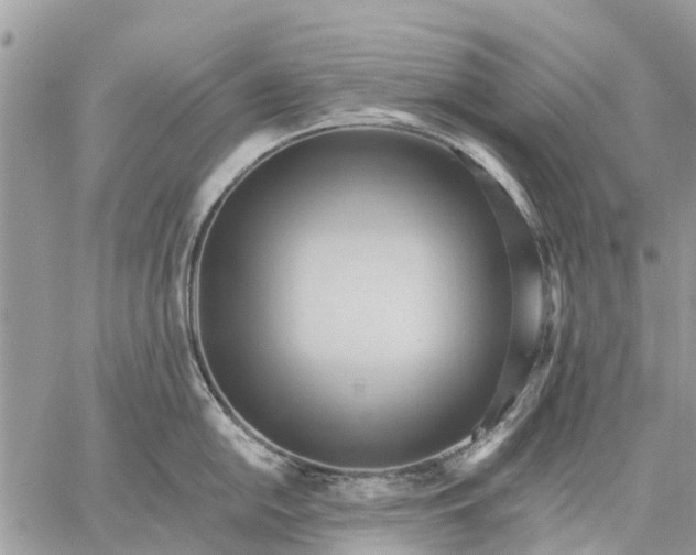 X0000059101054200510211627