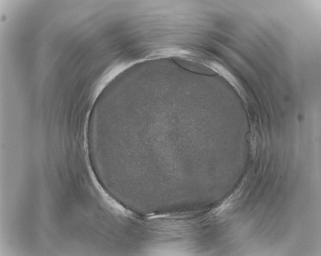 X0000059101055200510211627