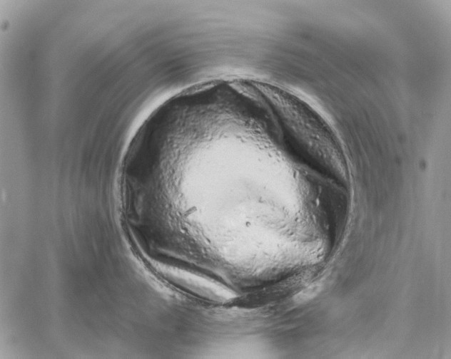 X0000059101056200510211627