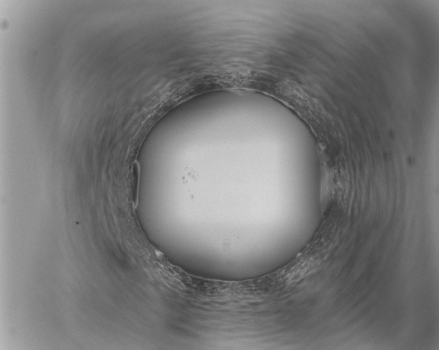 X0000059101057200510211627