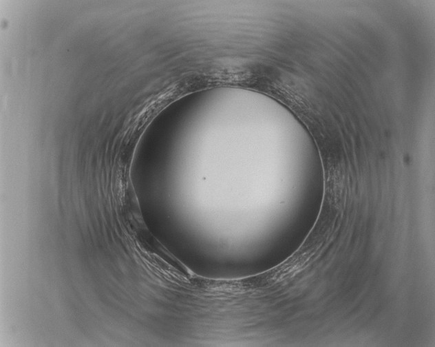 X0000059101058200510211627