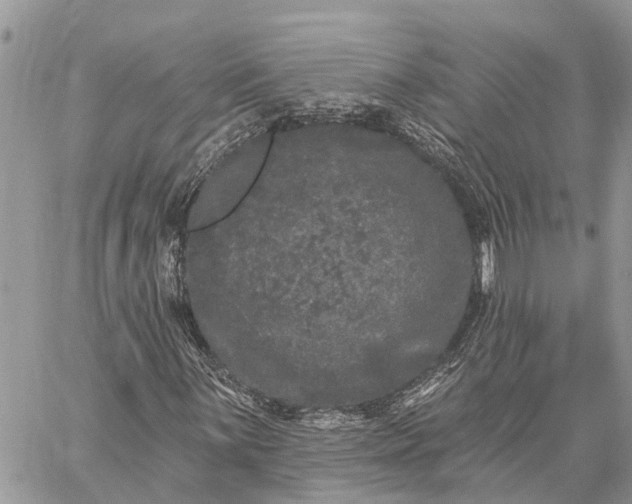 X0000059101059200510211627