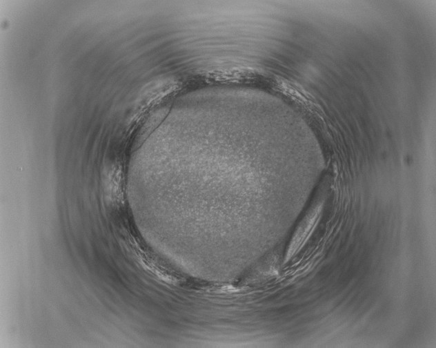 X0000059101060200510211627