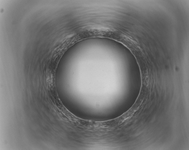 X0000059101061200510211627