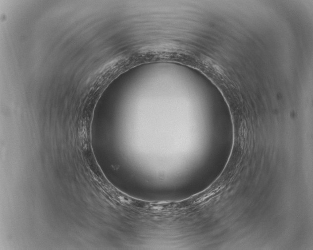 X0000059101062200510211627