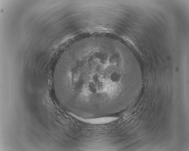 X0000059101063200510211627