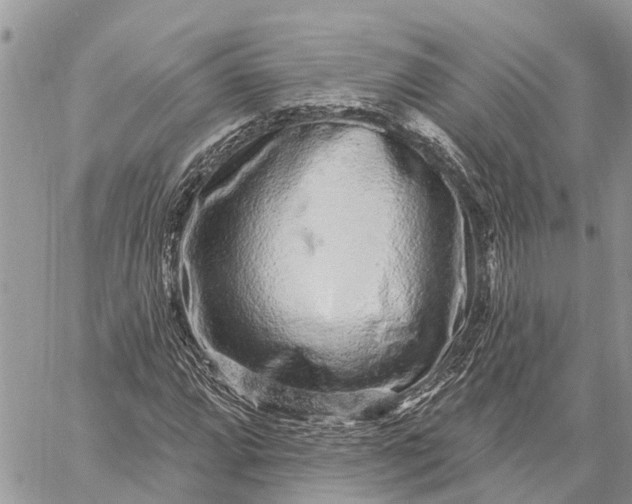 X0000059101064200510211627