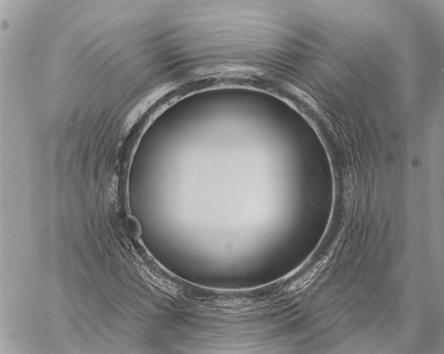 X0000059101066200510211627