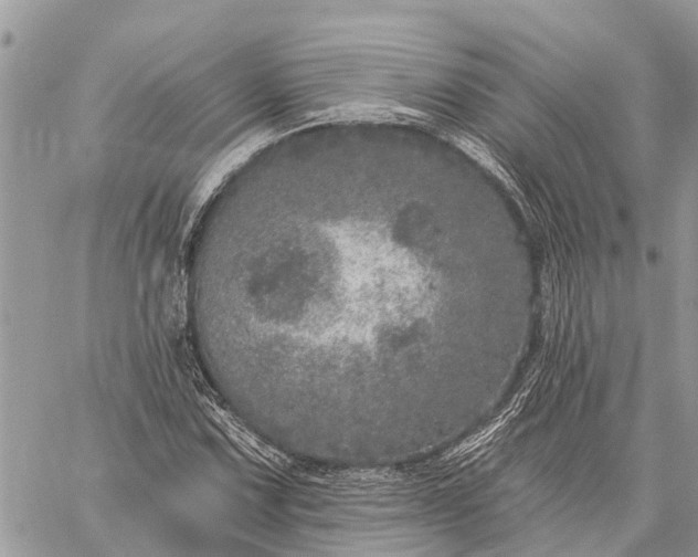 X0000059101067200510211627