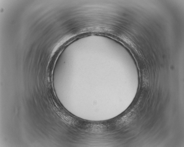 X0000059101070200510211626