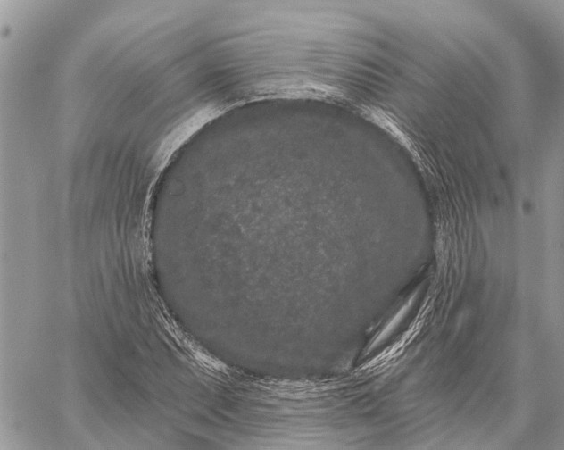 X0000059101071200510211626