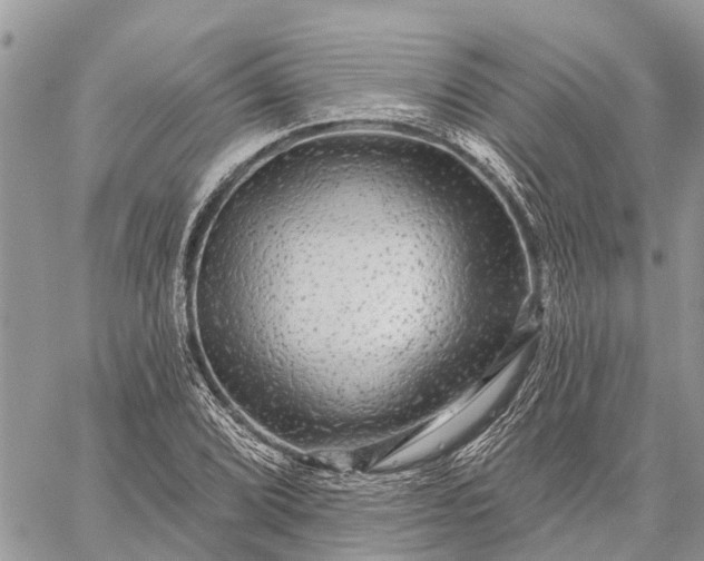 X0000059101072200510211626