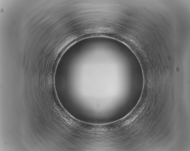 X0000059101073200510211626