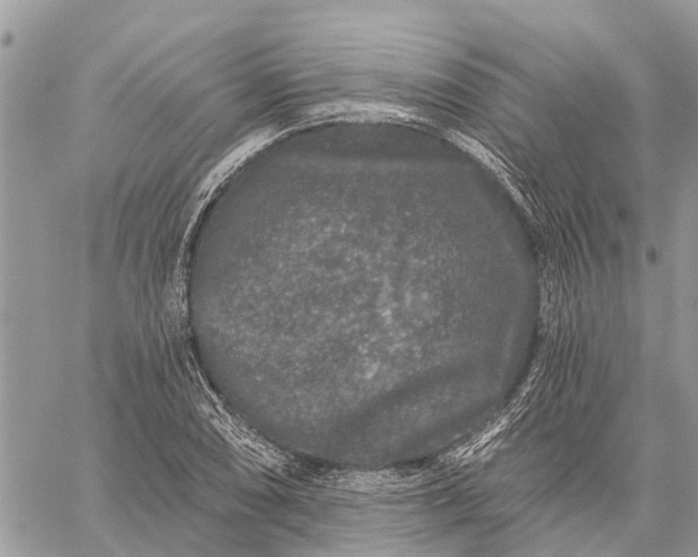 X0000059101074200510211626