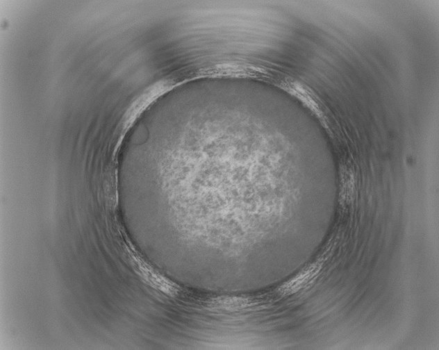 X0000059101075200510211626